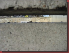 Berlino-249.jpg  (56,3 Kb)