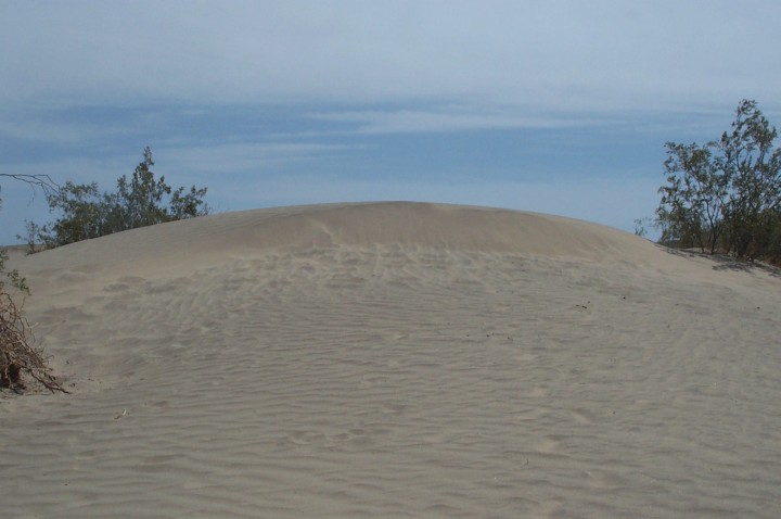 DCP_2819.jpg  (51,5 Kb)