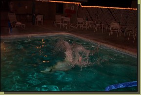 DCP_2790.jpg  (76,3 Kb)