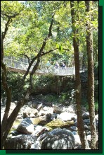 Rainforest-18.jpg  (126,1 Kb)