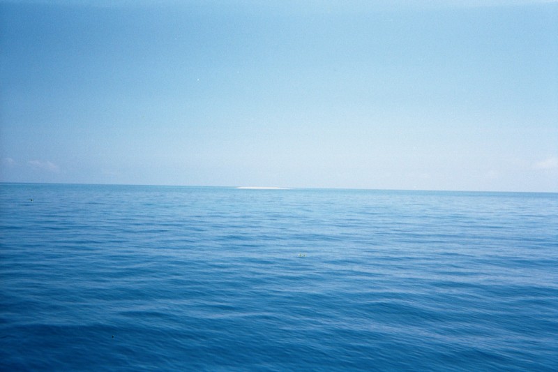 Diving_35.jpg  (68,0 Kb)