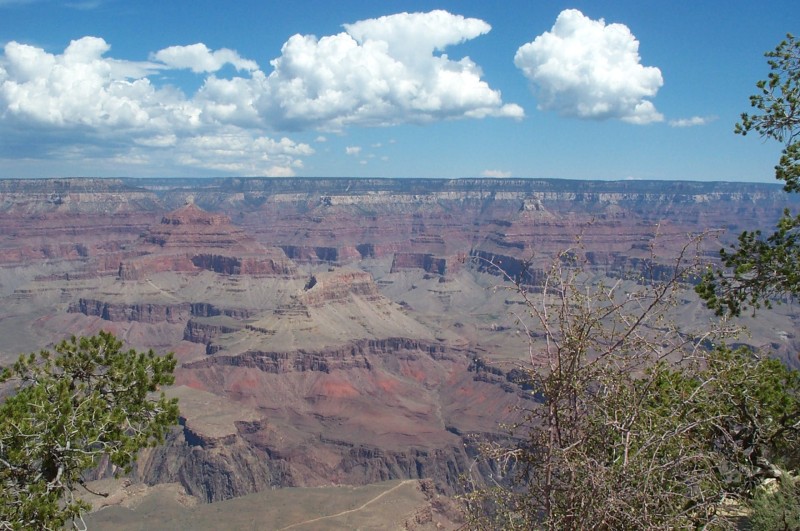 DCP_0965.jpg  (126,0 Kb)