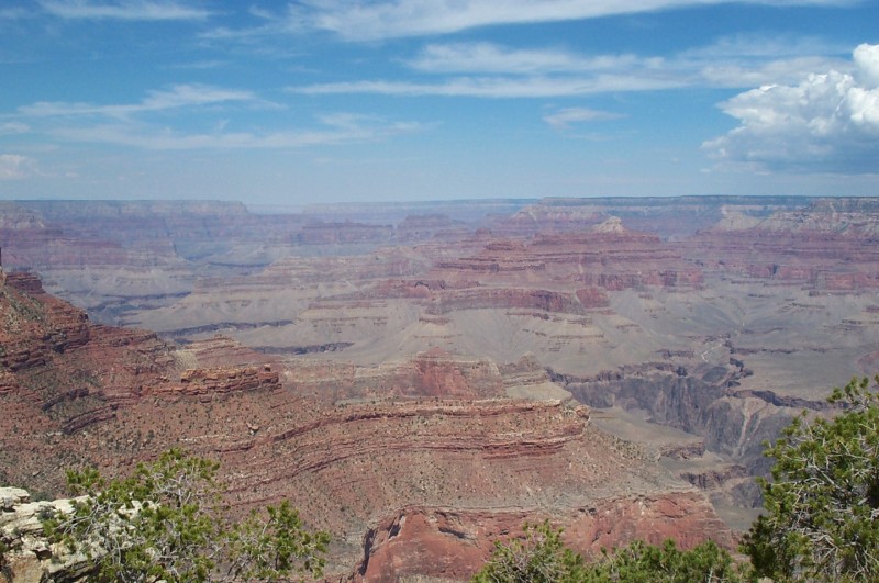 DCP_0966.jpg  (112,7 Kb)