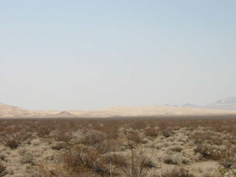 Mojave-026.jpg  (60,6 Kb)