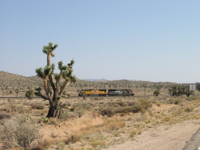 Mojave-063.jpg  (96,4 Kb)