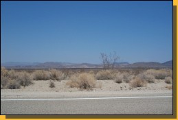 Mojave-013.jpg  (73,9 Kb)