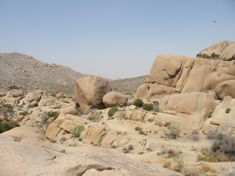 Joshua3-070.jpg  (97,1 Kb)