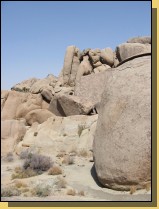 Joshua3-069.jpg  (59,8 Kb)