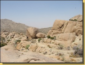 Joshua3-070.jpg  (97,1 Kb)
