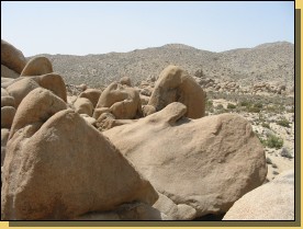Joshua3-071.jpg  (111,2 Kb)