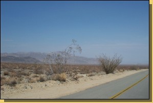 Joshua3-100.jpg  (68,6 Kb)