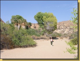 Joshua3-109.jpg  (114,7 Kb)
